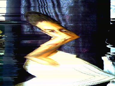pxl200907171242.jpg