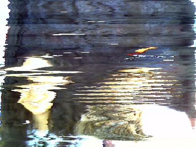 pxl200907181224.jpg