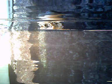 pxl200907191831.jpg