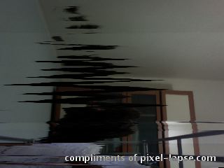 pxl200908231759-94-001.jpg